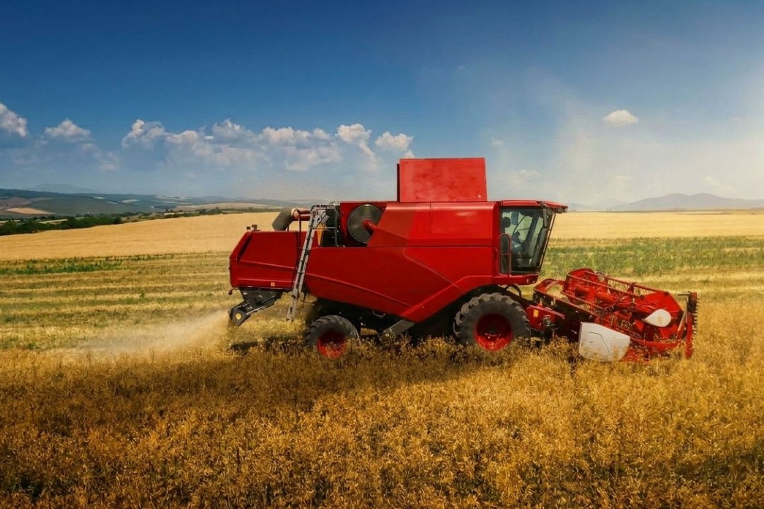 Mietitrebbia moderna e rimorchio pieno di granella